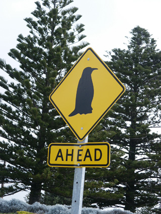 ATTENTION DANGER , PINGUIN PSYCHOPATHE !